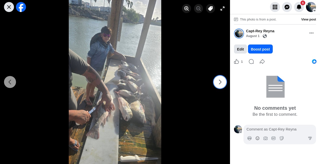 Fresh catch being cleaned dockside after the trip